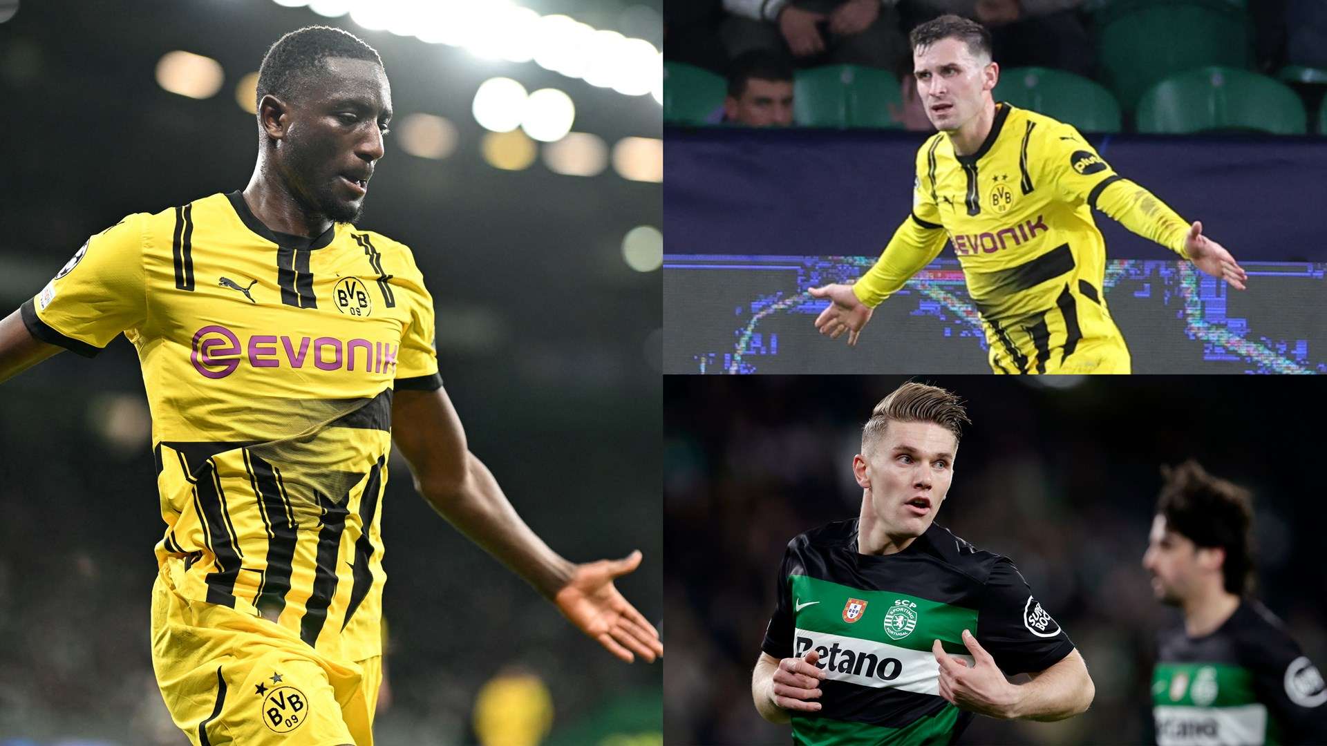 是遭遇的绝 是遭遇的绝